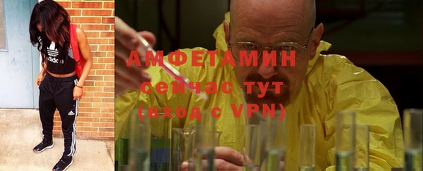 ГАЛЛЮЦИНОГЕННЫЕ ГРИБЫ Кукмор