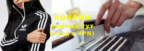 ГАЛЛЮЦИНОГЕННЫЕ ГРИБЫ Кукмор