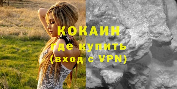 ГАЛЛЮЦИНОГЕННЫЕ ГРИБЫ Кукмор